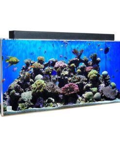 Buy Clear-For-Life 240 Gallon