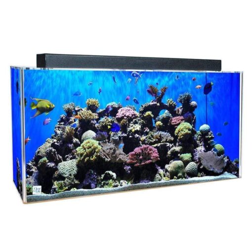 Buy Clear-For-Life 240 Gallon